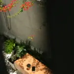 DSCF9801