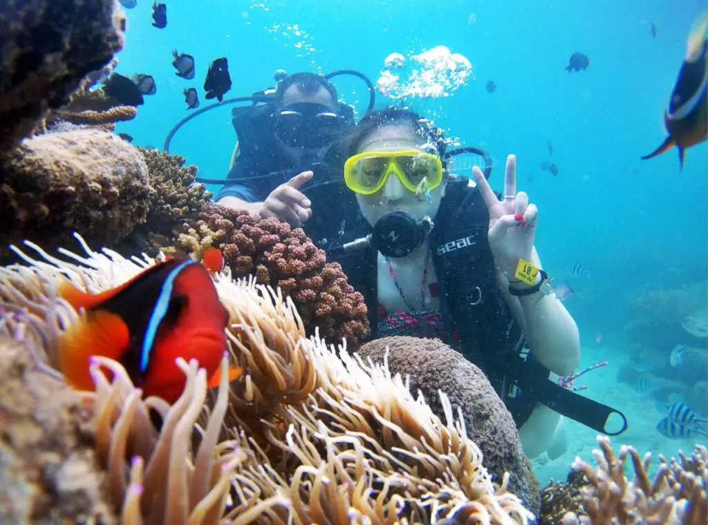 Vinh Hy Diving Adventure - NOTE - The Scent Lab Vinh Hy Diving Adventure - Mùa hè - sản phẩm mùi hương từ NOTE - The Scent Lab