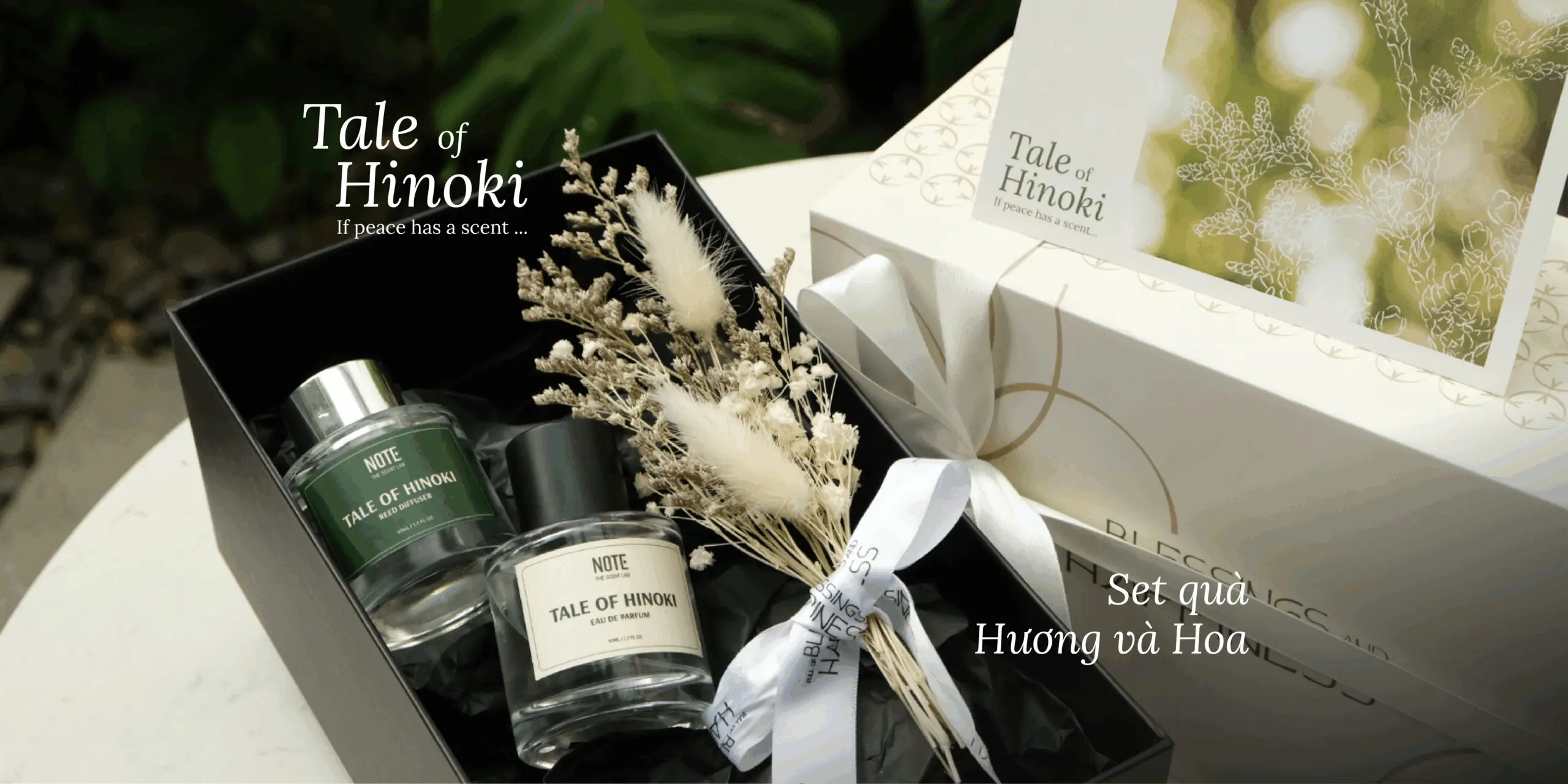 Tale of Hinoki - NOTE - The Scent Lab Tale of Hinoki - sản phẩm mùi hương từ NOTE - The Scent Lab