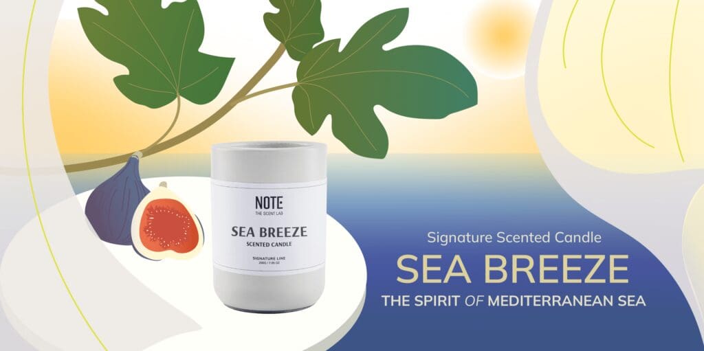 SEA BREEZE Signature Scented Candle | Ra mắt mùi nến thơm mang hương gió biển
