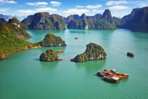 NOT A ROSE - MIMIC - NOTE - The Scent Lab Travel _ Vietnamese Local Perfume - sản phẩm mùi hương từ NOTE - The Scent Lab