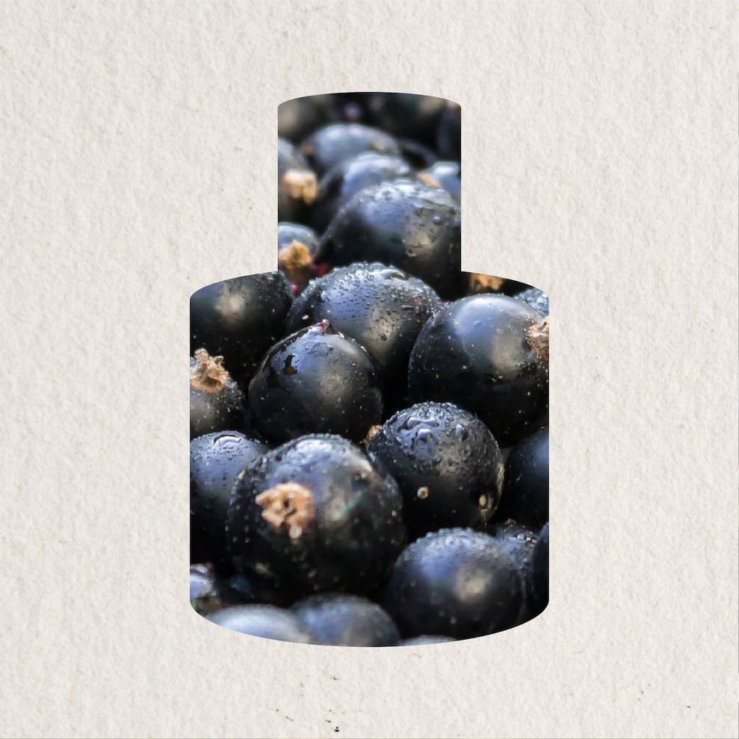  - sản phẩm mùi hương từ NOTE - The Scent Lab