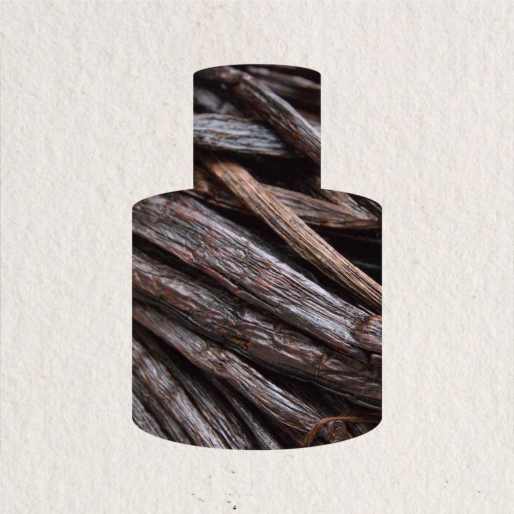 NOT A ROSE - ingredients - sản phẩm mùi hương từ NOTE - The Scent Lab