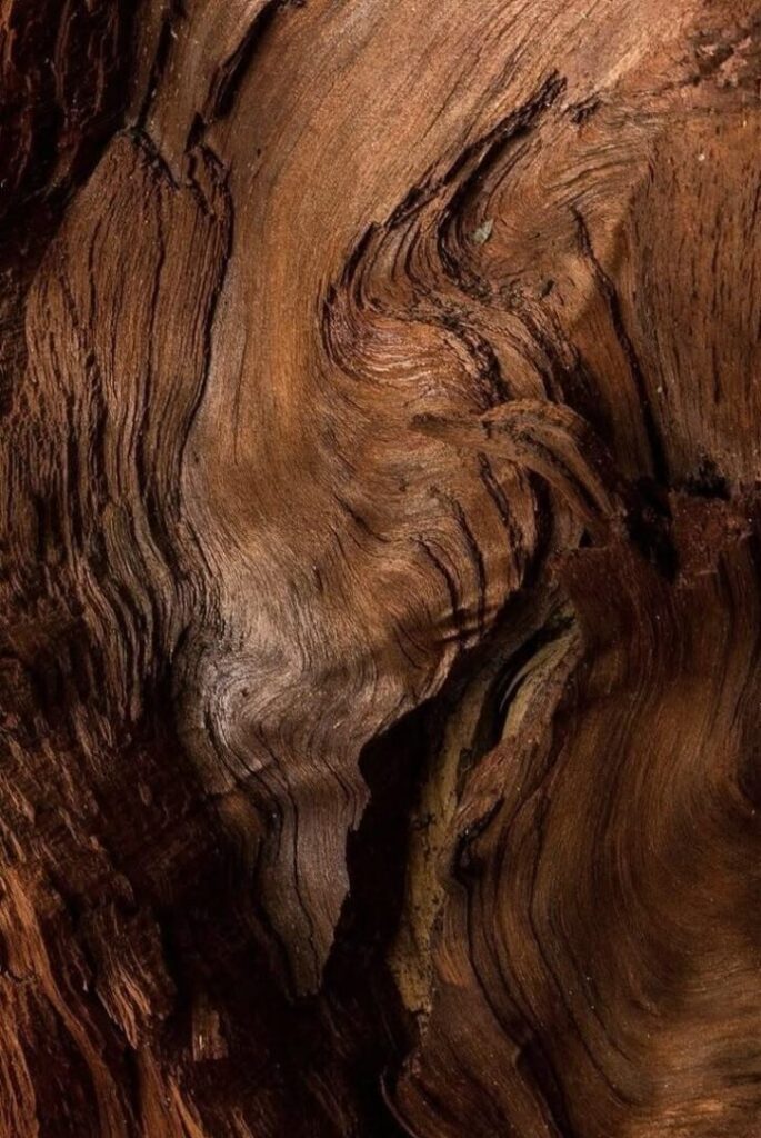 Lemonmelon - nước hoa mùa hè