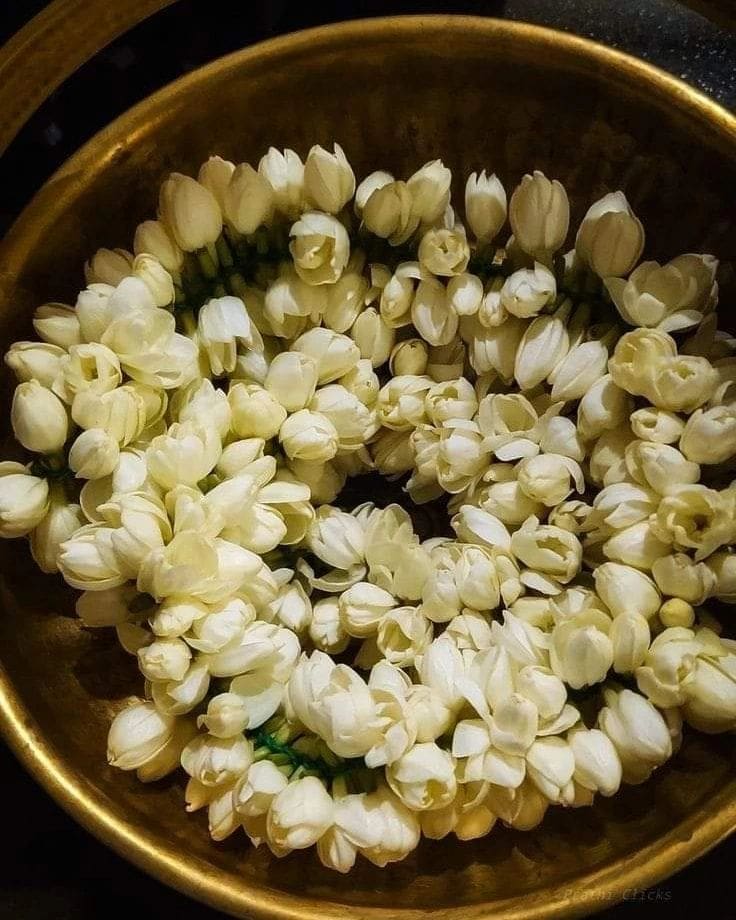 nước hoa tặng ba