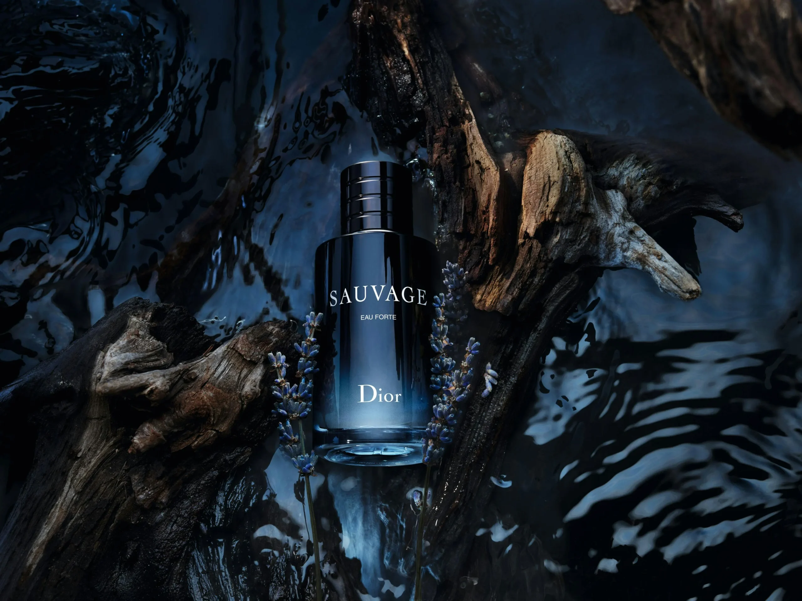 1726398567-sauvage-eau-forte-ingredient-shot
